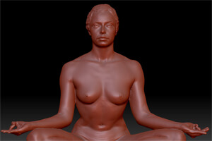 Scan modèle Elea - lotus face